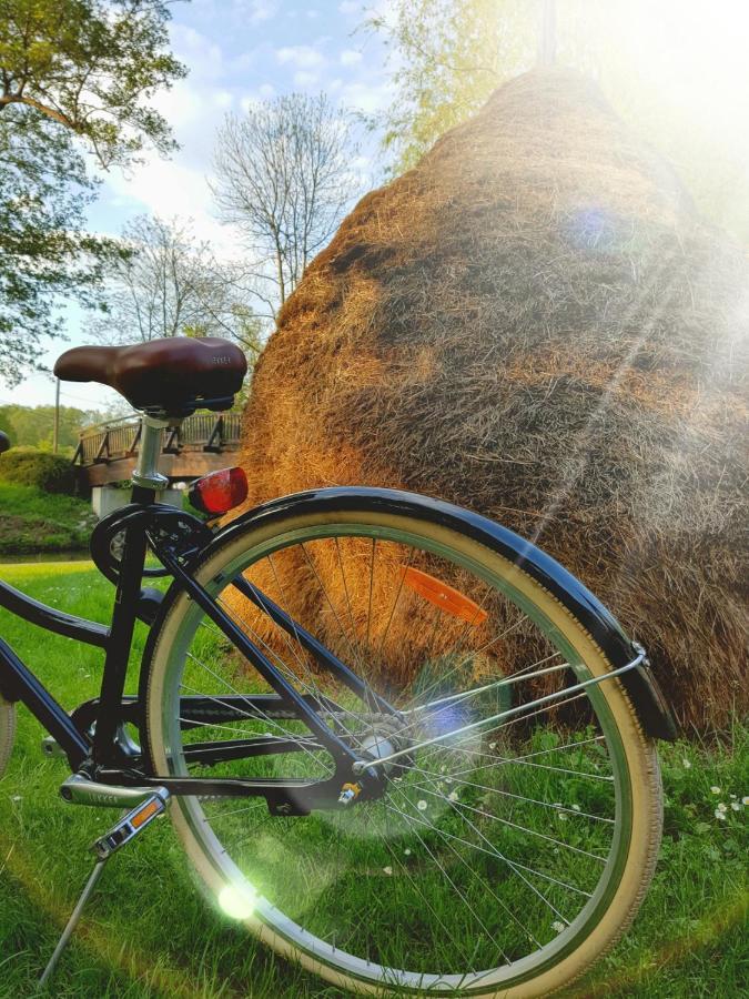 ホテル Radlerhof Spreewald Kolkwitz  エクステリア 写真